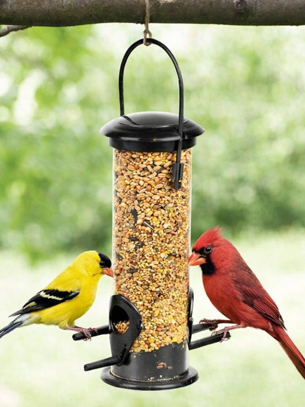 Hanging Wild Bird Feeder Tube 2 Port Seed Feeder Cardinals Finches Yard Patio